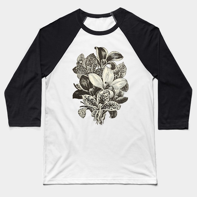 Beautiful Lily Baseball T-Shirt by DrDesign